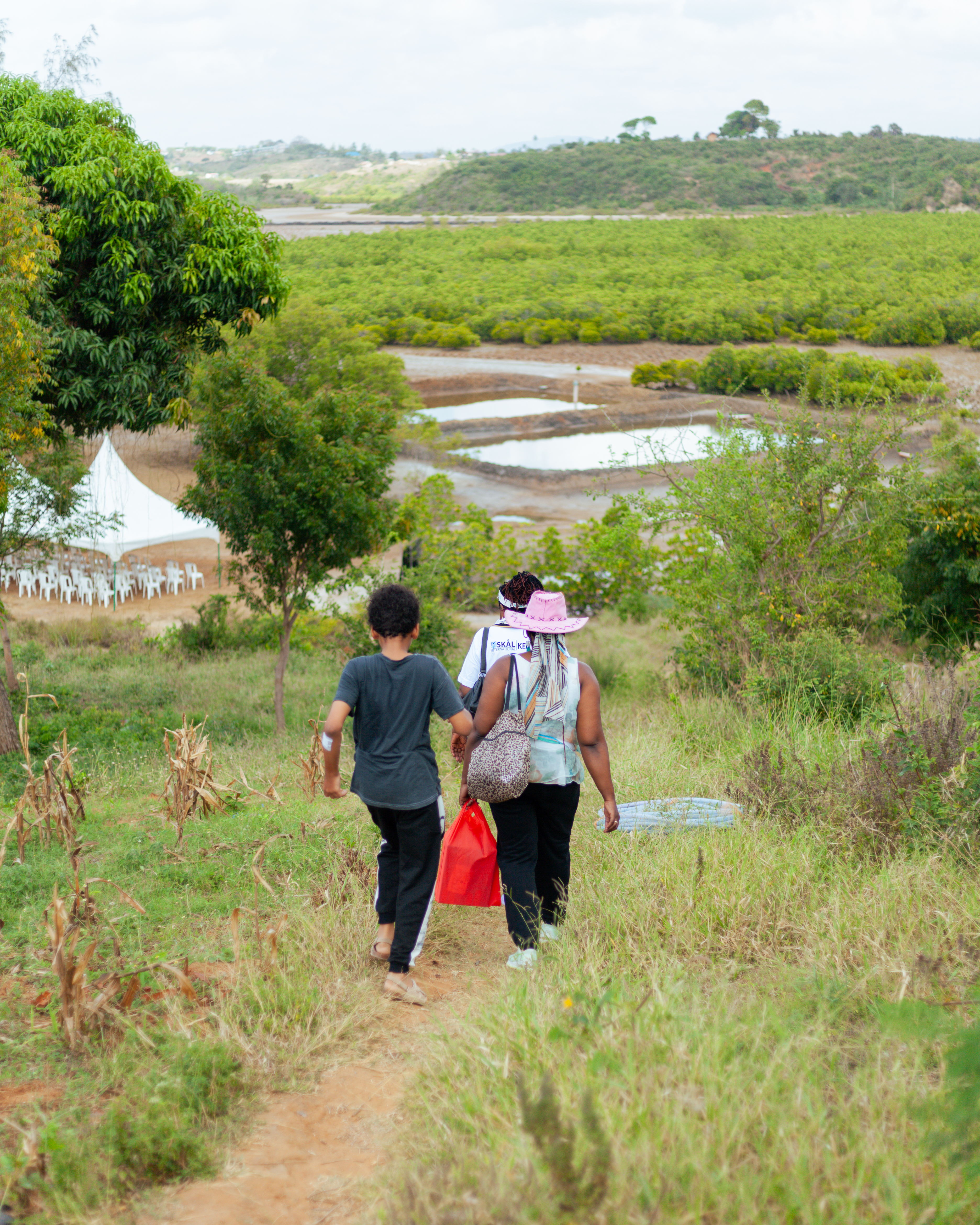 Mangrove Planting